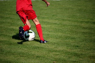 开云娱乐官网-中超球队球员年龄结构，中超球队平均年龄